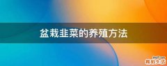 盆栽韭菜的养殖方法