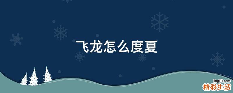 飞龙怎么度夏