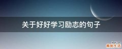 关于好好学习励志的句子