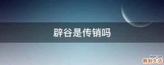 辟谷是传销吗