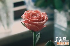 520发多少红包合适 520发多少红包给女朋友合适