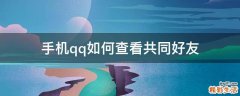 手机qq如何查看共同好友
