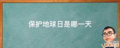 保护地球日是哪一天