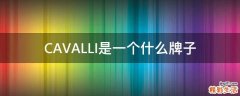 CAVALLI是一个什么牌子