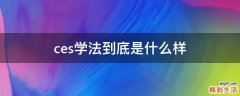 ces学法到底是什么样