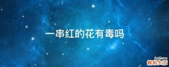 一串红的花有毒吗