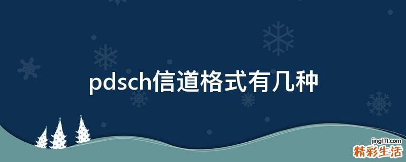 pdsch信道格式有几种