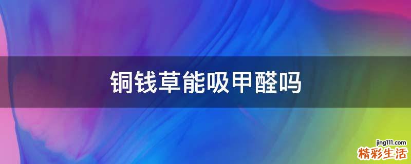 铜钱草能吸甲醛吗