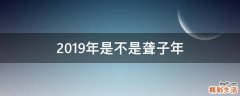 2019年是不是聋子年
