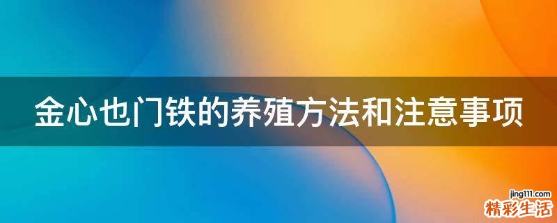 金心也门铁的养殖方法和注意事项