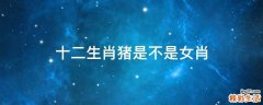 十二生肖猪是不是女肖