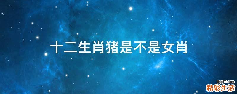 十二生肖猪是不是女肖