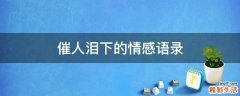 催人泪下的情感语录