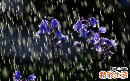都市上班族 睡前1分钟肌肤减压法
