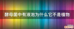 酵母菌中有液泡为什么它不是植物