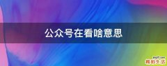 公众号在看啥意思