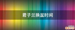 君子兰换盆时间