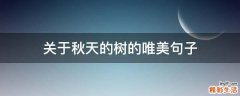 关于秋天的树的唯美句子