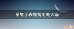 苹果手表蜂窝用处大吗