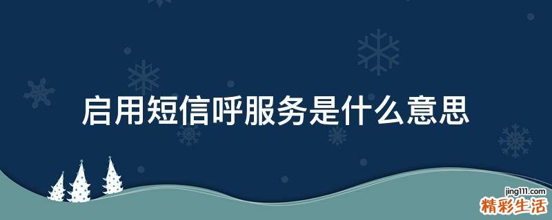 启用短信呼服务是什么意思