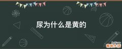 尿为什么是黄的