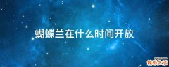 蝴蝶兰在什么时间开放