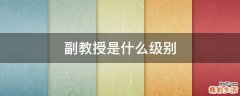 副教授是什么级别