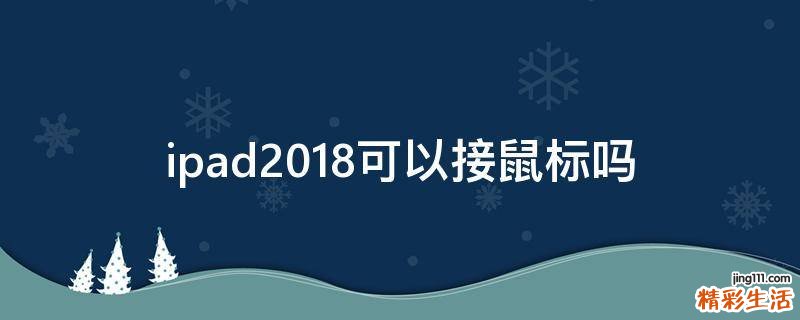 ipad2018可以接鼠标吗