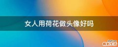 女人用荷花做头像好吗