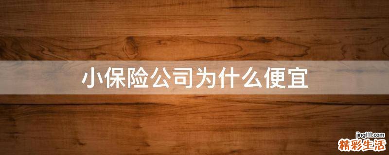 小保险公司为什么便宜