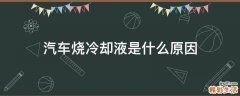 汽车烧冷却液是什么原因
