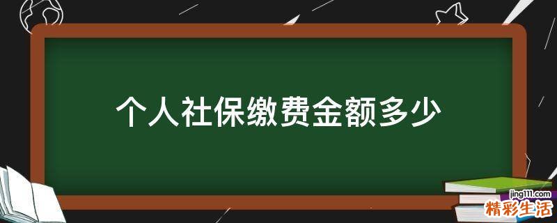 个人社保缴费金额多少