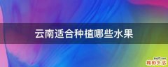 云南适合种植哪些水果