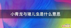 小青龙与猪儿虫是什么意思