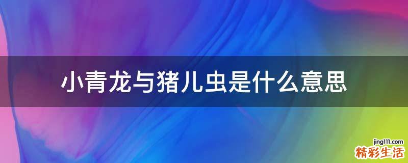 小青龙与猪儿虫是什么意思