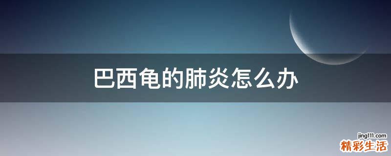 巴西龟的肺炎怎么办