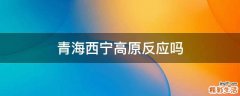 青海西宁高原反应吗