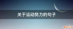 关于运动努力的句子