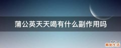 蒲公英天天喝有什么副作用吗