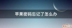 苹果密码忘记了怎么办