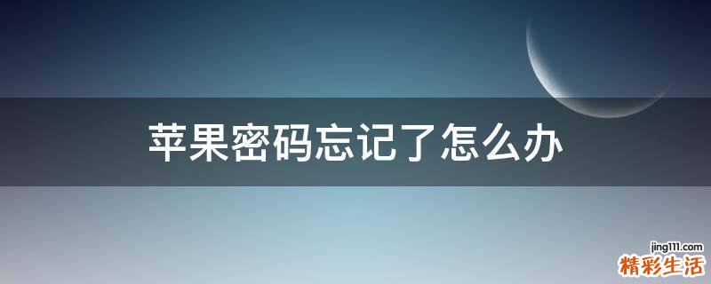 苹果密码忘记了怎么办