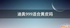 迪奥999适合黄皮吗