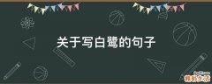 关于写白鹭的句子