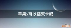 苹果x可以插双卡吗