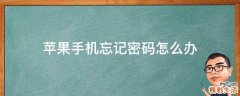 苹果手机忘记密码怎么办