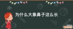 为什么大象鼻子这么长