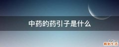 中药的药引子是什么