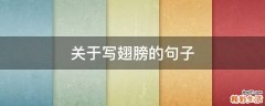关于写翅膀的句子