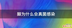 脚为什么会真菌感染