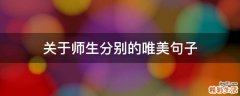 关于师生分别的唯美句子